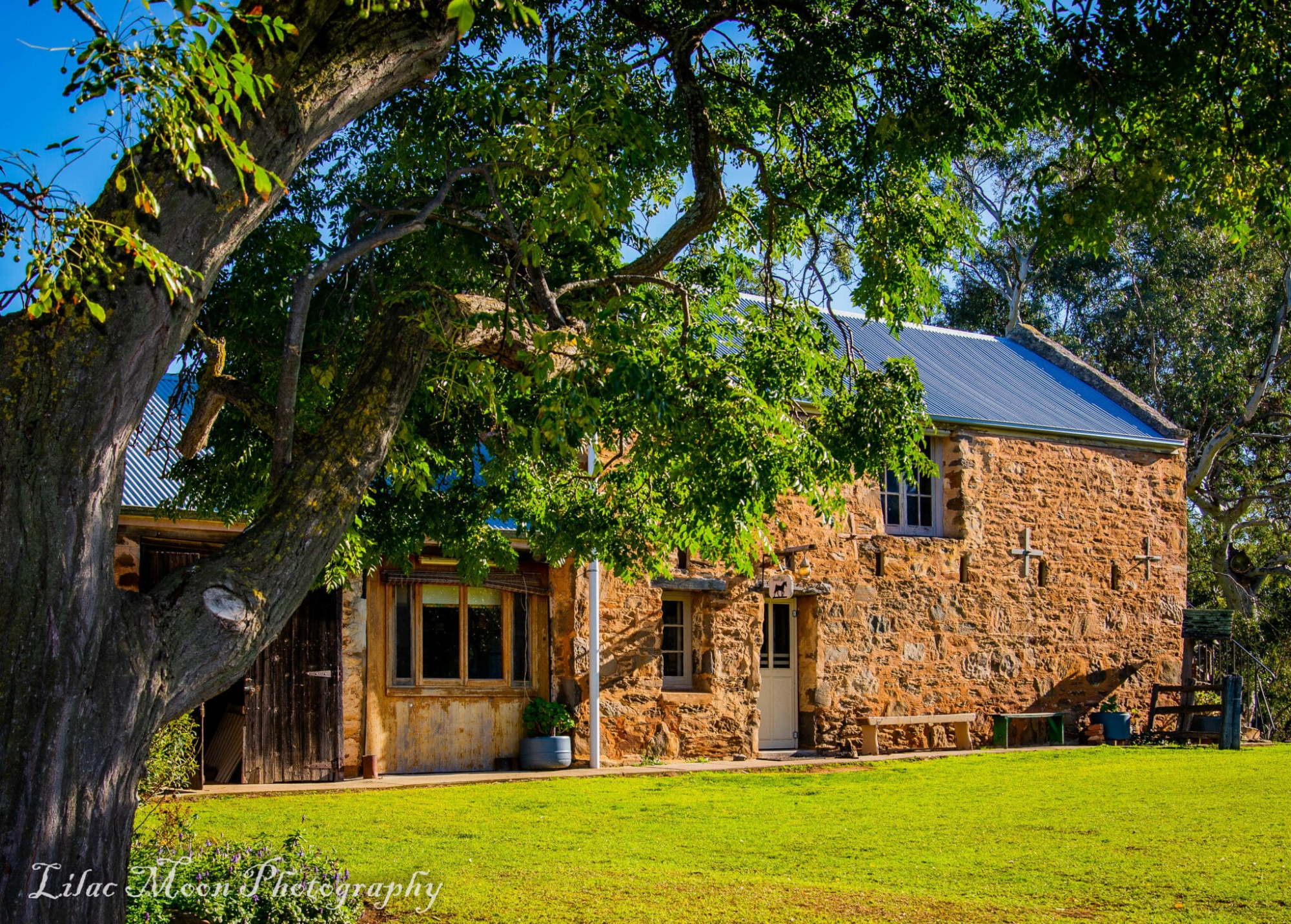Rustic stone farmhouse wedding venue framed by a large leafy tree and sunny green lawn.