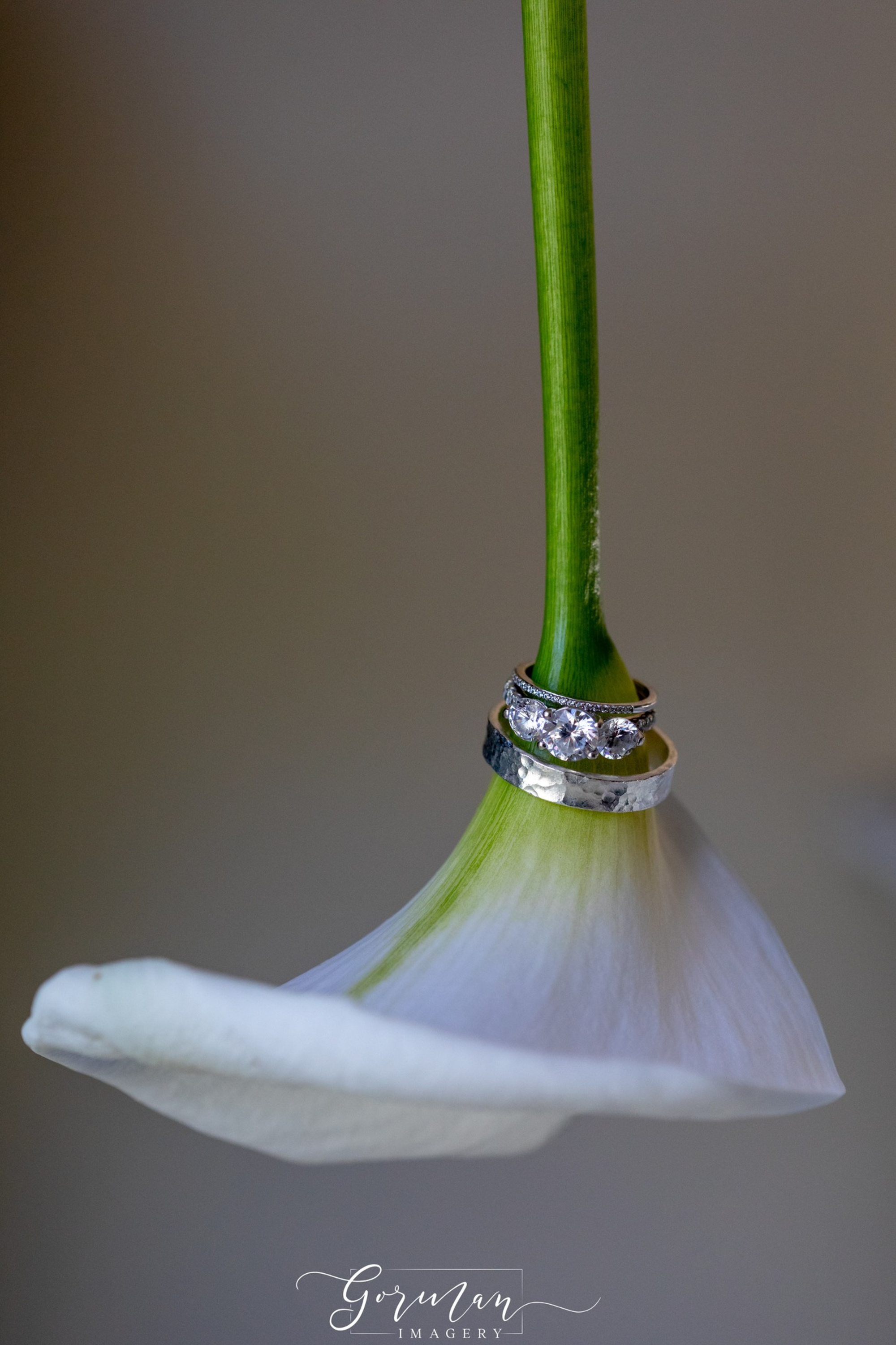Close-up of wedding rings stacked on the stem of a white calla lily against a soft neutral background.