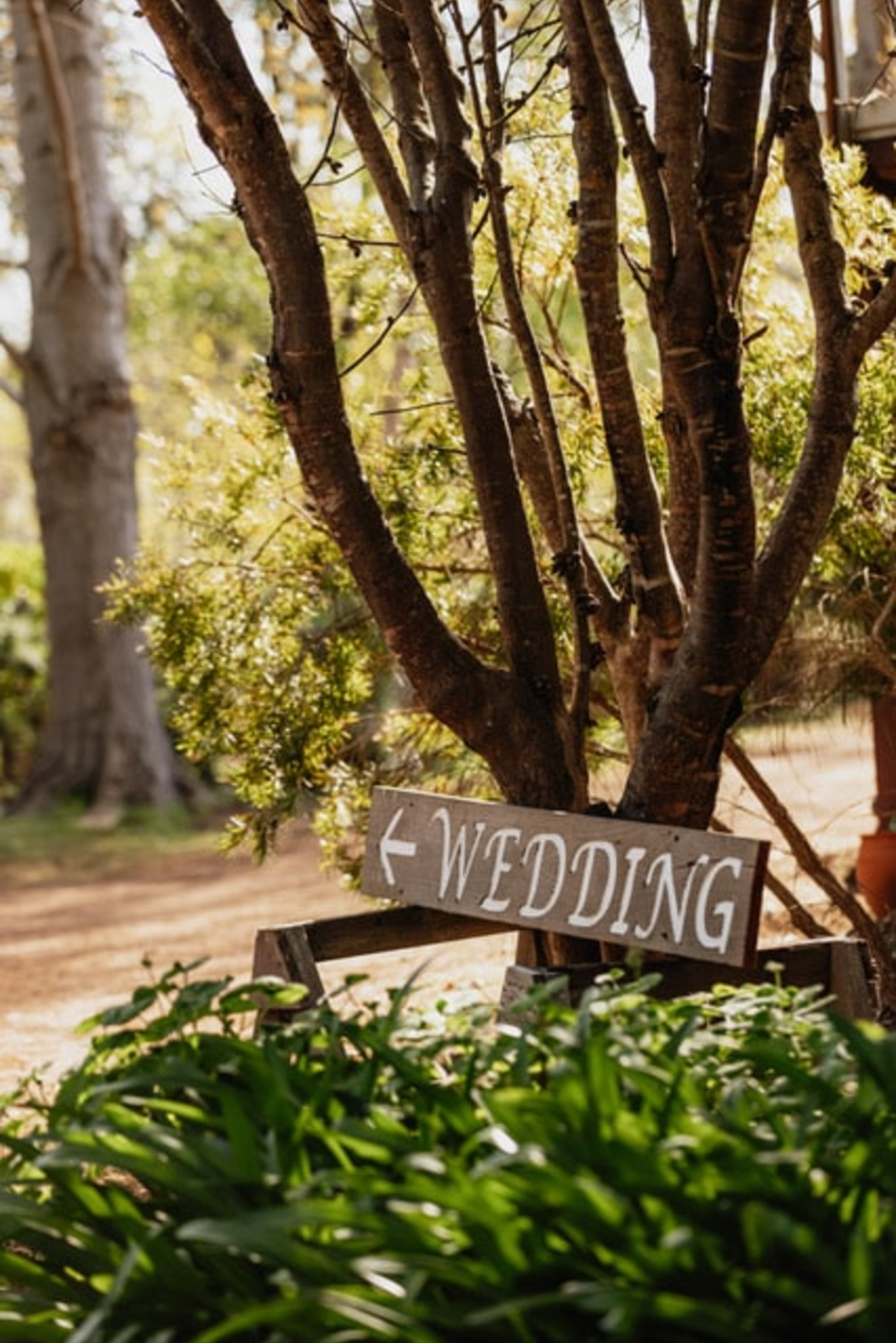 Rustic wooden wedding direction sign among trees and greenery in an outdoor garden setting.