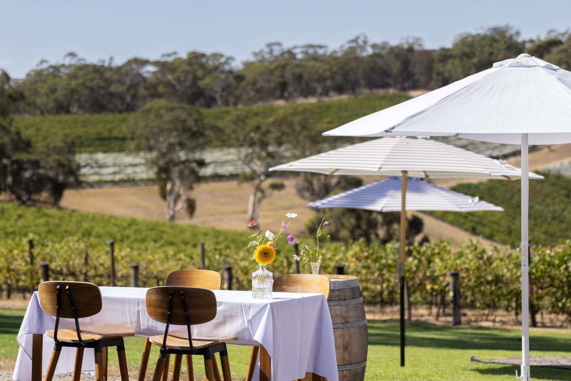 Outdoor vineyard wedding table with simple floral centerpiece and white umbrellas overlooking green hills.