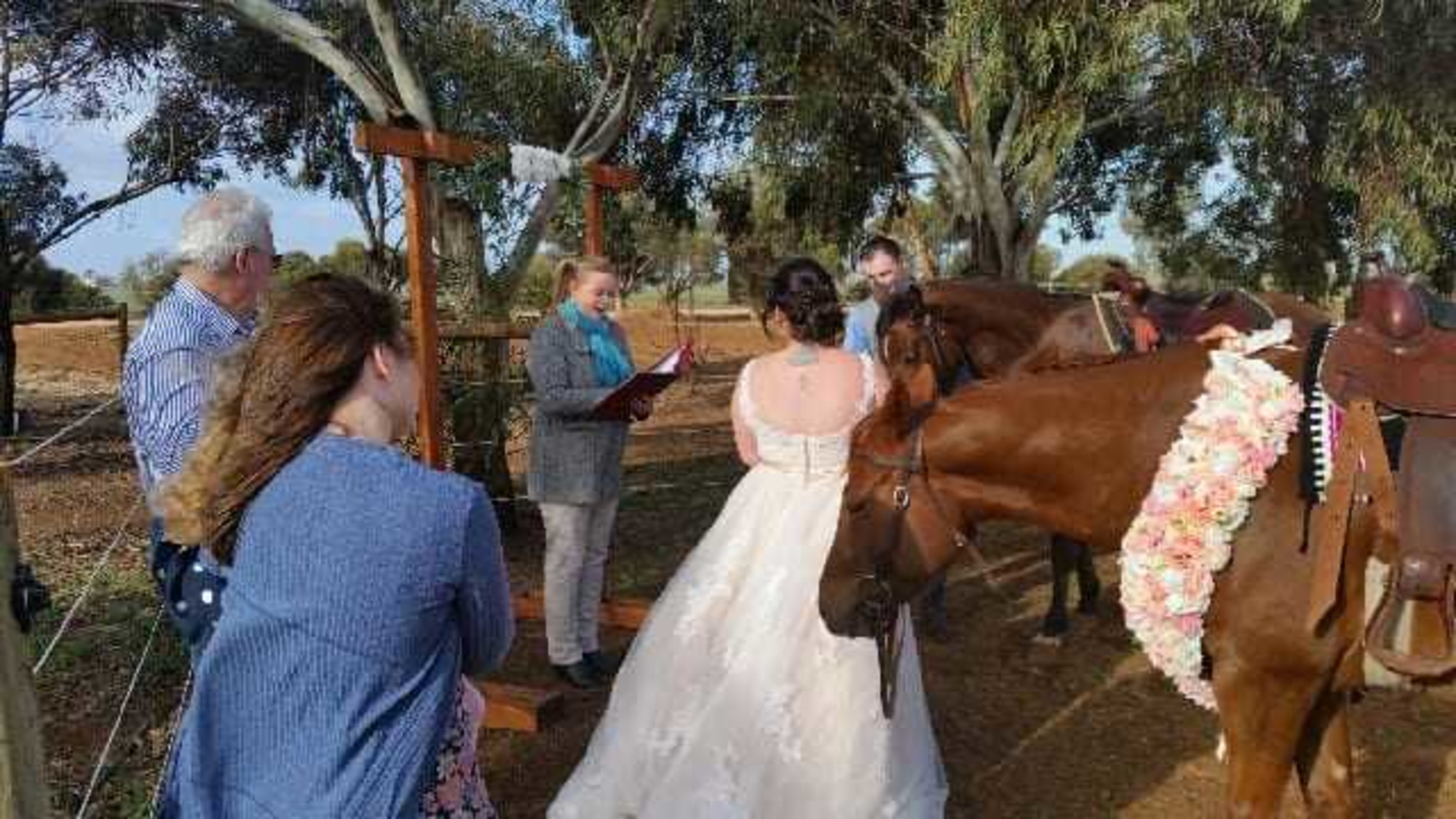 Outdoor rustic wedding ceremony with a bride, groom, officiant, guests, and decorated horses in a farm setting.