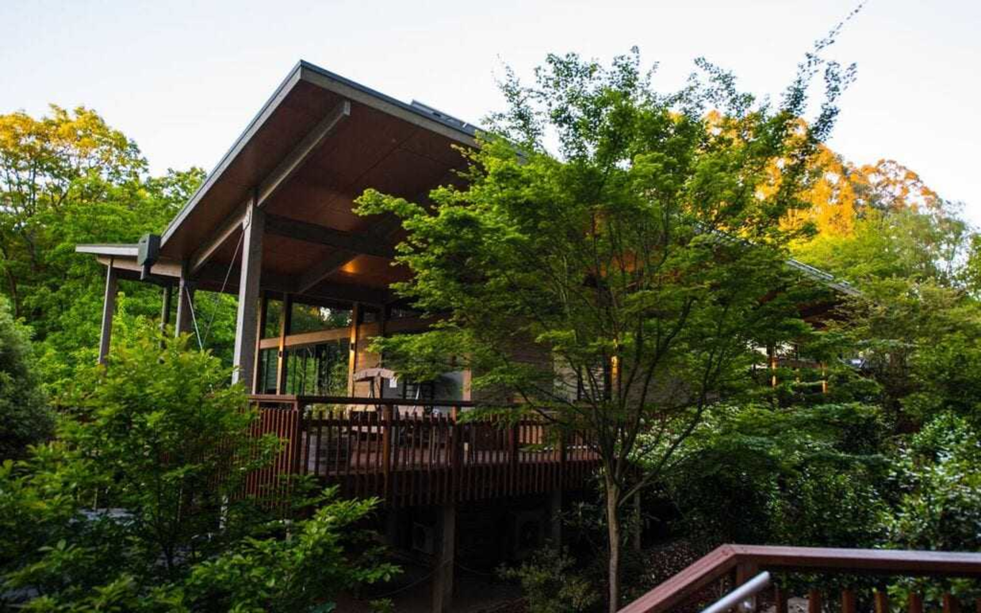 Modern pavilion-style wedding venue surrounded by lush green trees and wooden decks at sunset.