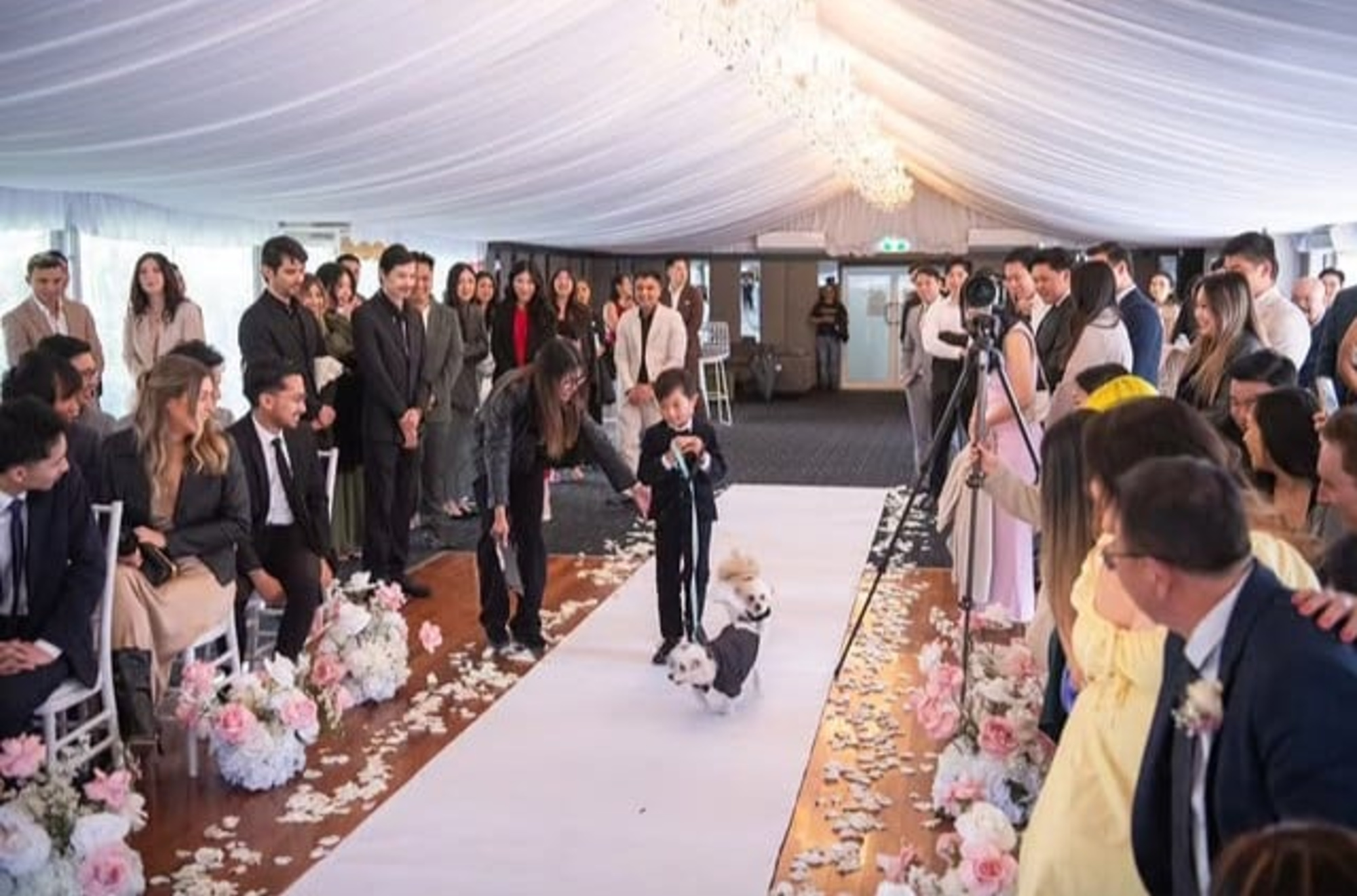 Indoor wedding ceremony with a child and two small dogs walking down a flower-lined aisle as guests watch and smile.
