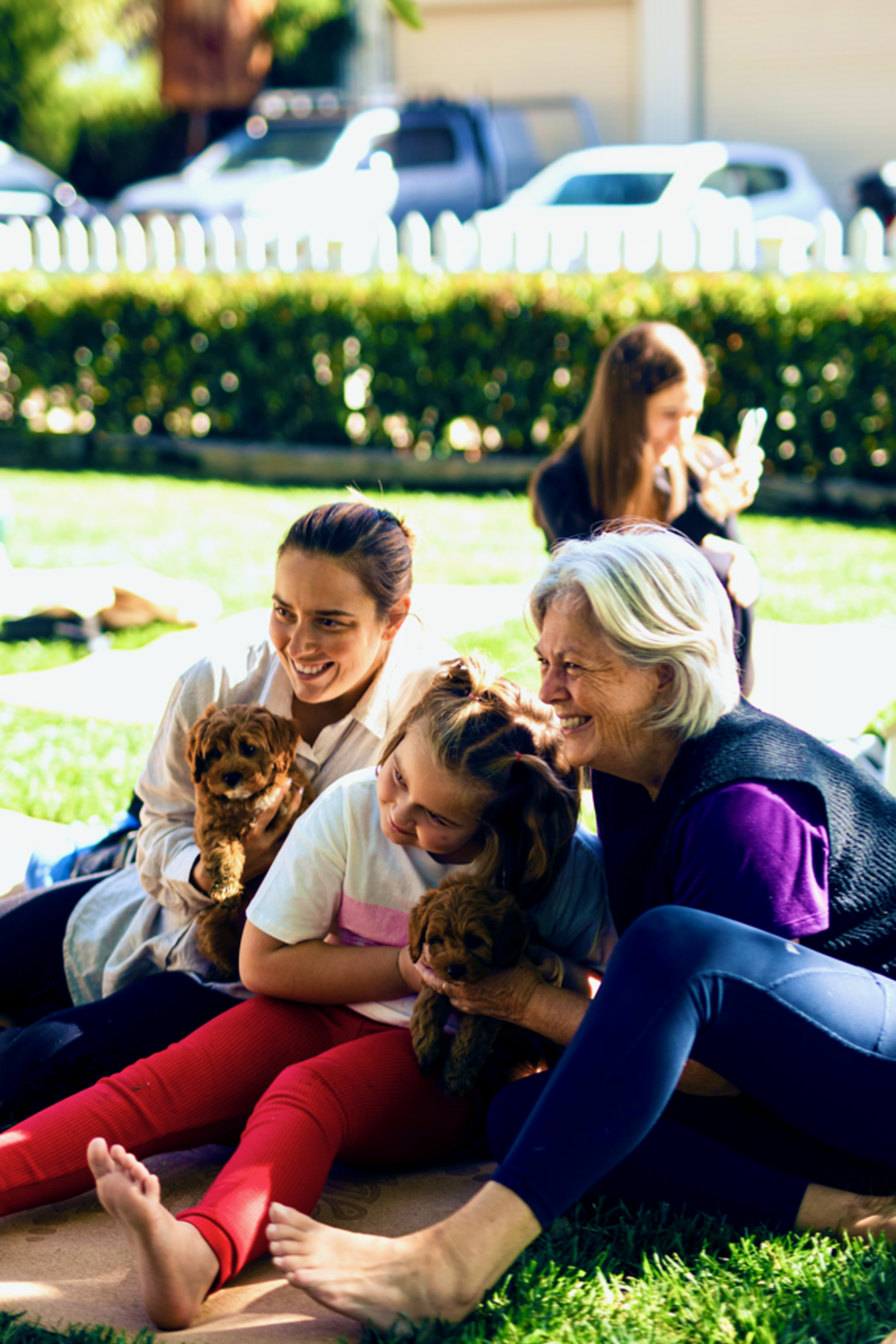 Three generations of family sit on the grass outdoors cuddling small dogs in the sunshine.