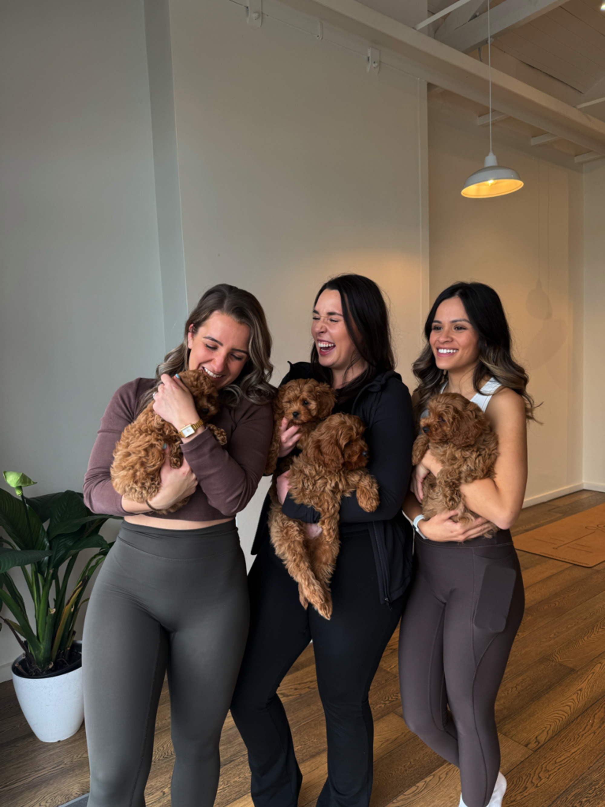 Three women in casual outfits laugh and cuddle small brown puppies in a bright indoor space.