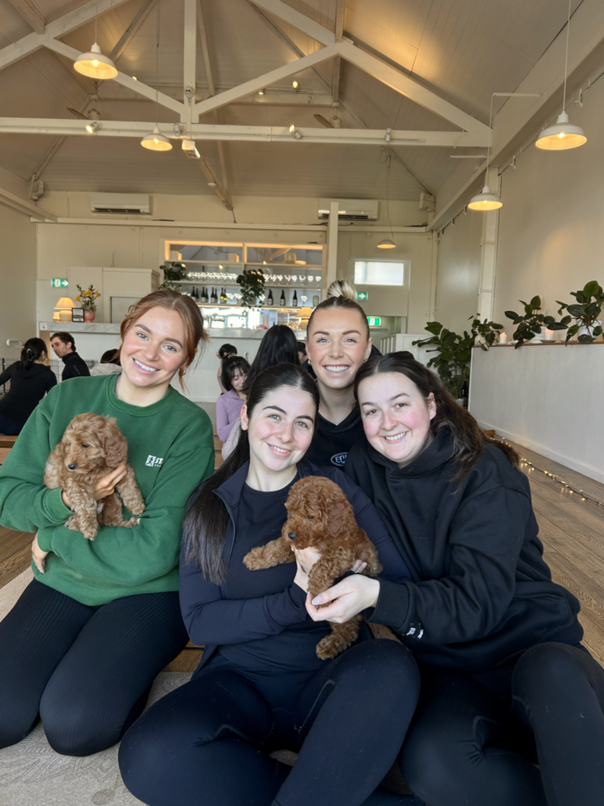 Group of women sitting together in a bright venue space, smiling and holding small brown puppies.