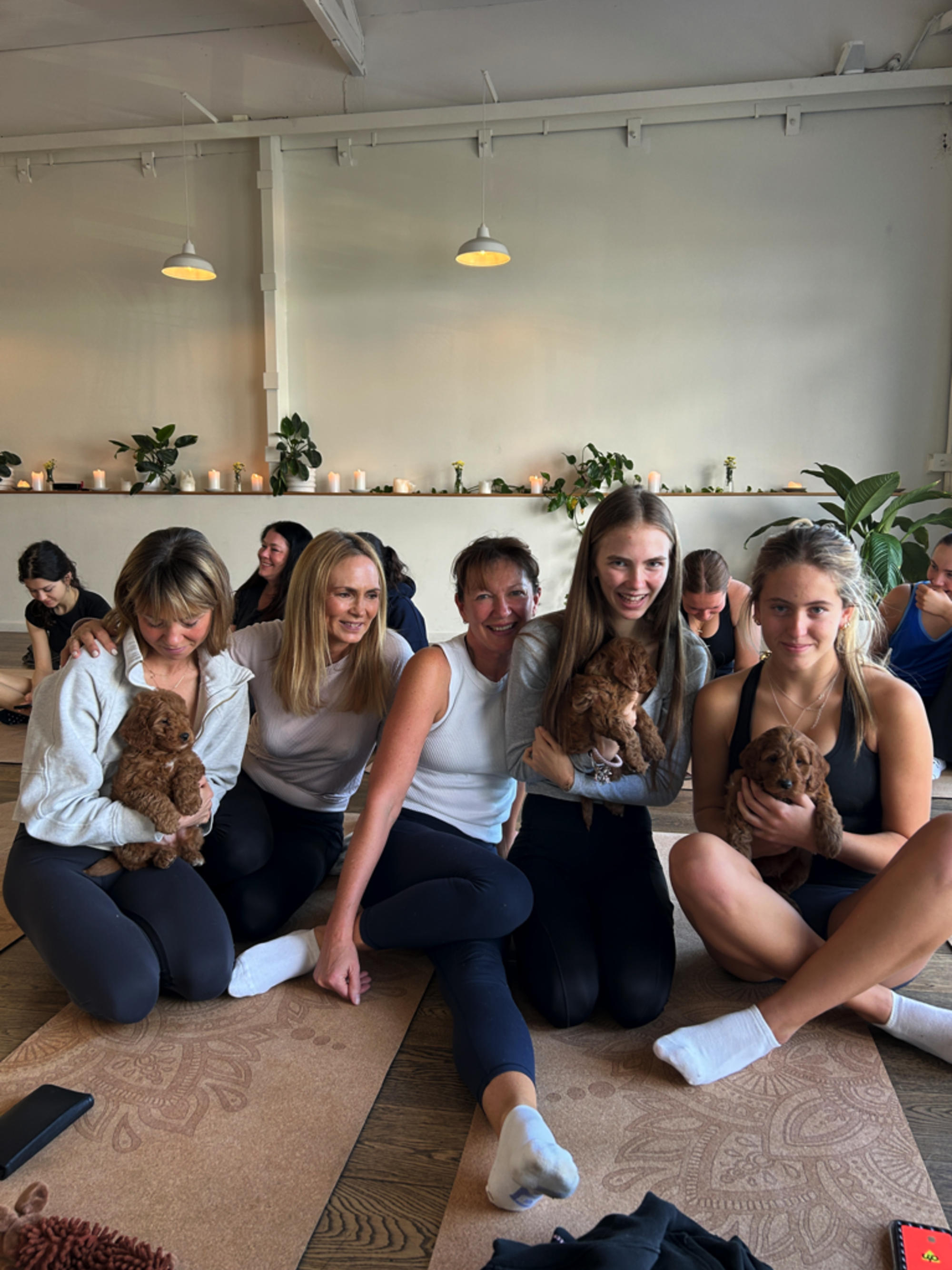 Group of women at a relaxed indoor yoga session sitting on mats and holding small puppies.