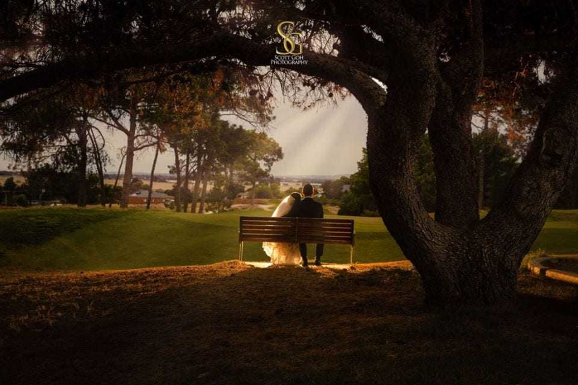 Bride and groom sit on a bench under a large tree at sunset, bathed in golden light over a scenic landscape.