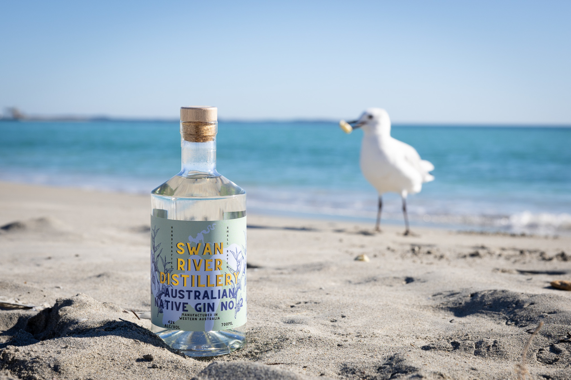 Gin bottle standing on a sandy beach with turquoise ocean and a seagull in the background.