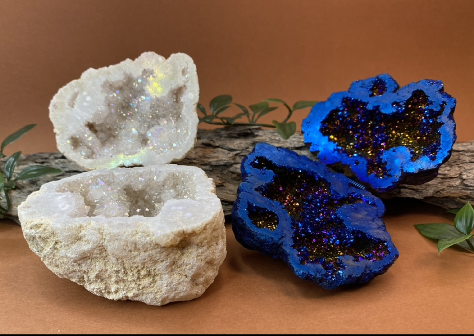 Sparkling white and blue geode crystals displayed on a wood log with greenery against a warm brown background.