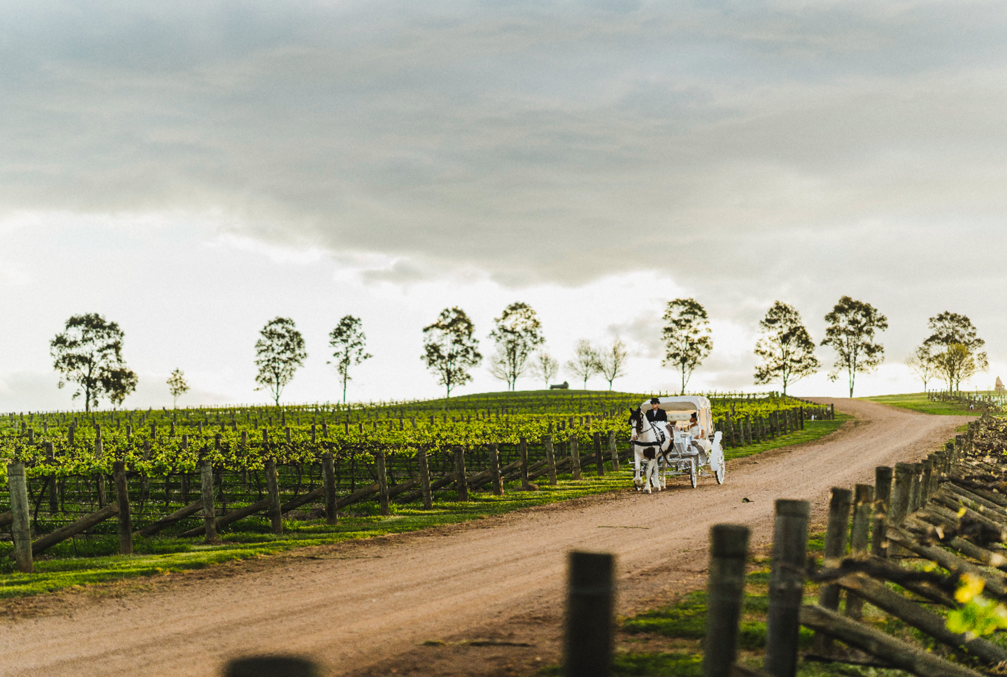 Horse-drawn carriage traveling along a dirt road through a scenic vineyard wedding venue at sunset.