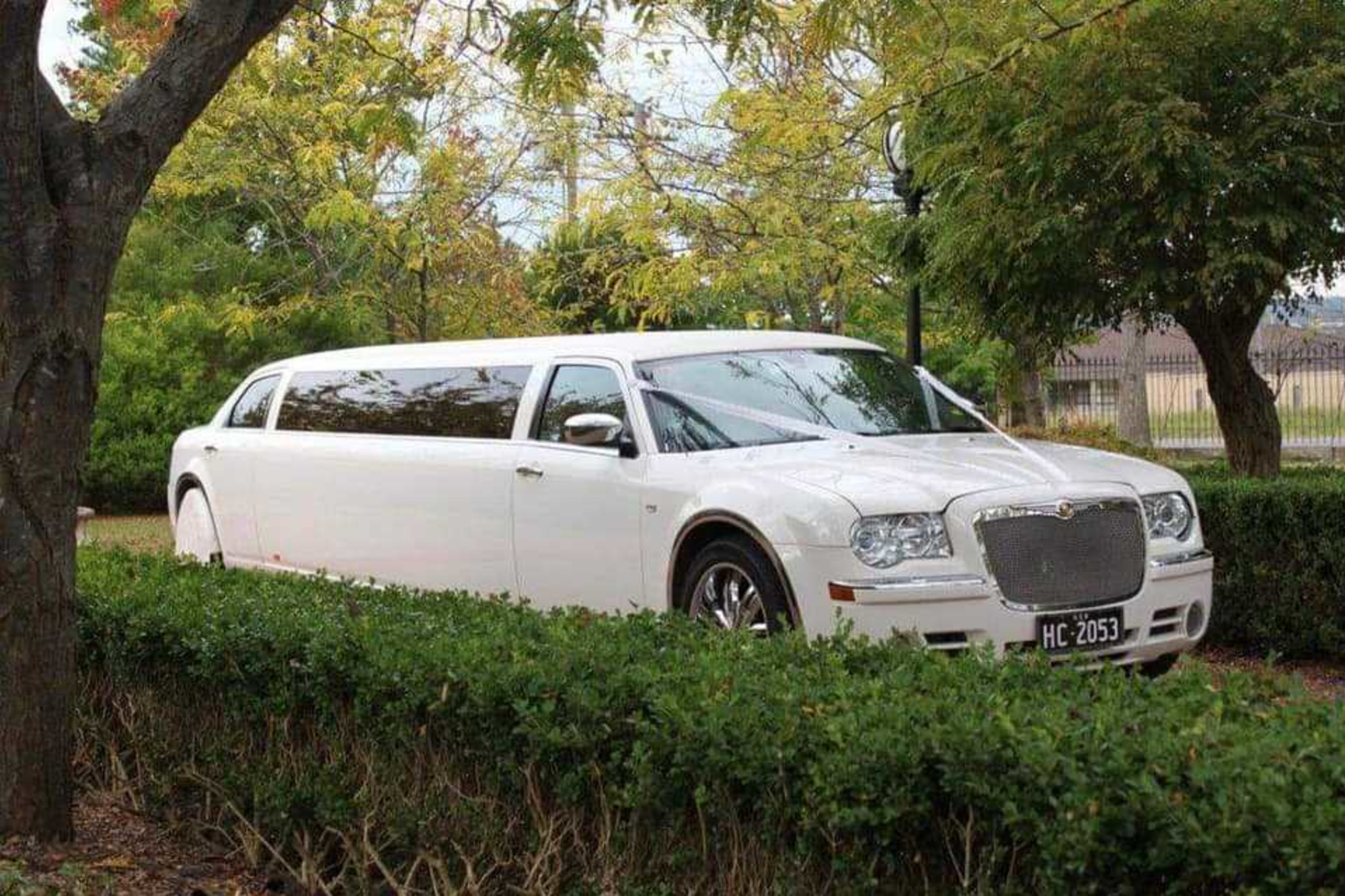 White stretch limousine parked in a leafy garden setting for wedding transportation.