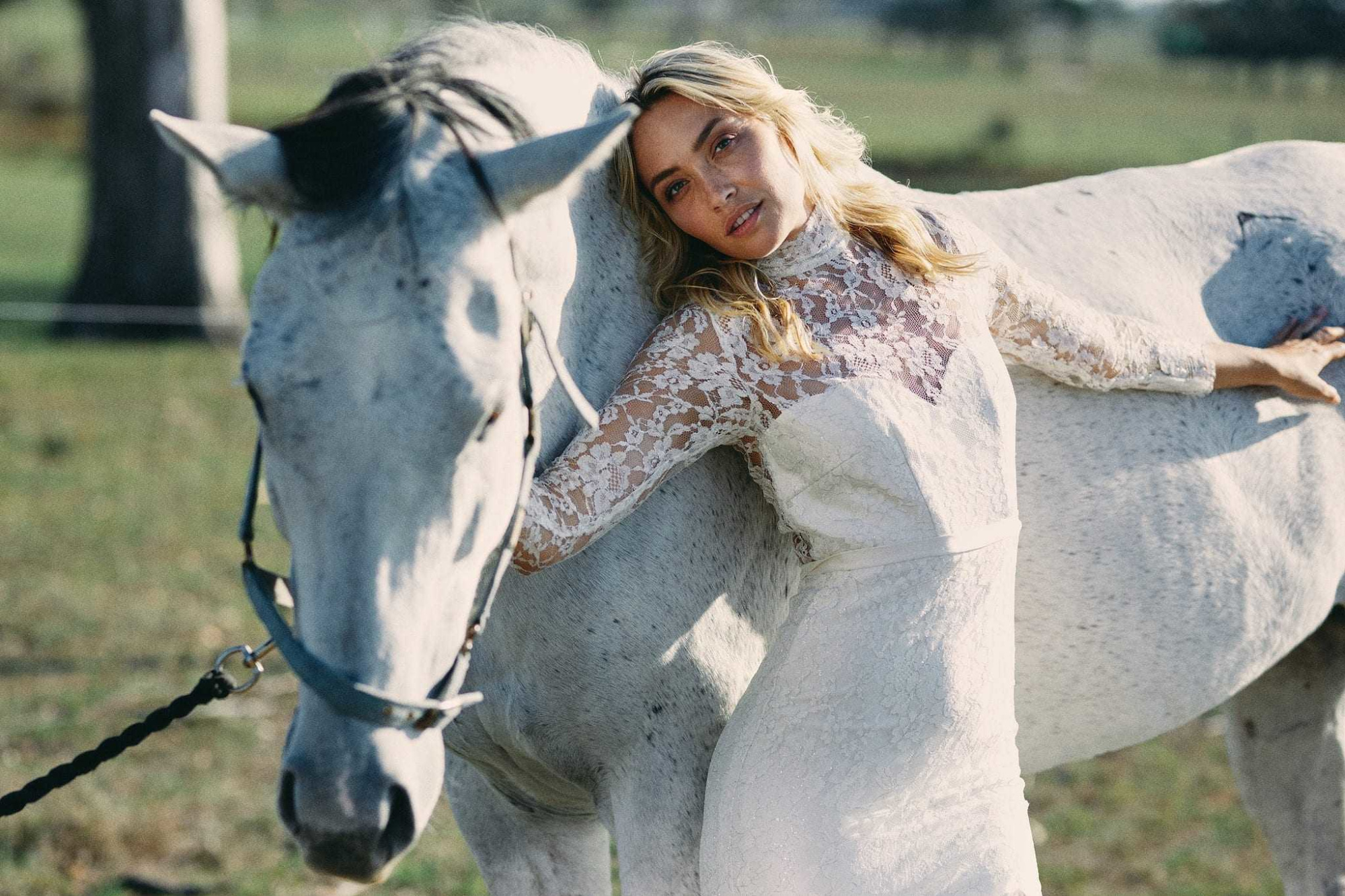 Bride in a lace wedding dress leaning affectionately against a white horse in a sunny outdoor field.