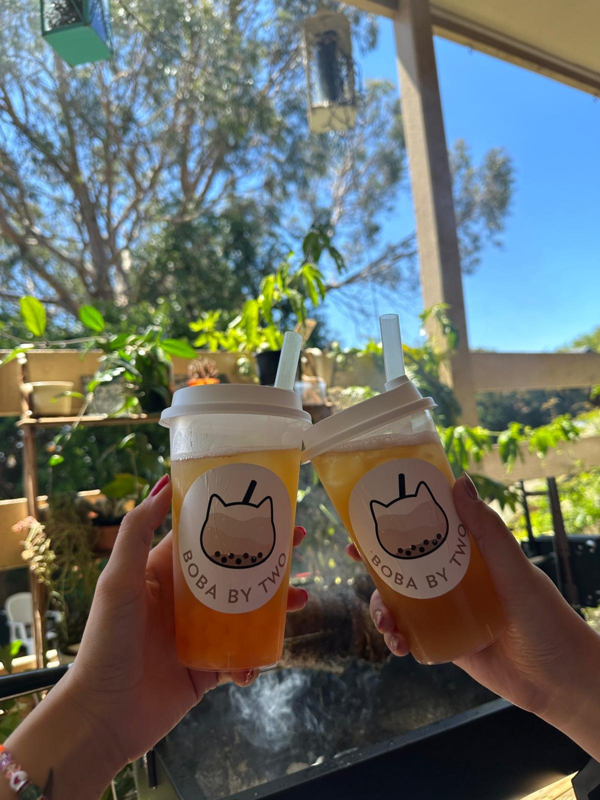 Two hands toast with iced boba tea drinks outdoors against a sunny garden backdrop.