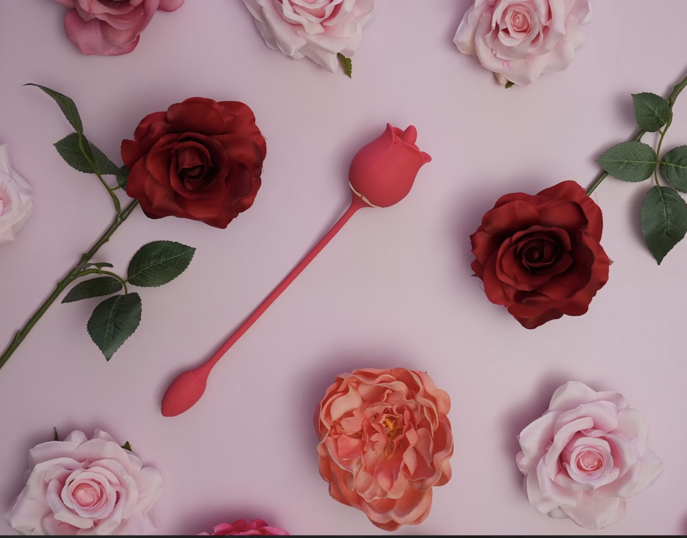 Flatlay of red and pink roses on a pastel pink background with a rose-shaped accessory in the center.