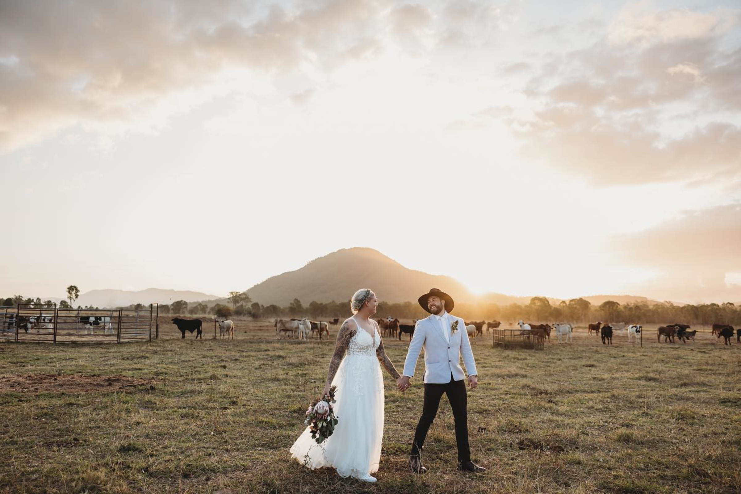 Newlywed couple walks hand in hand through a farm field at sunset with cattle and a mountain in the background.