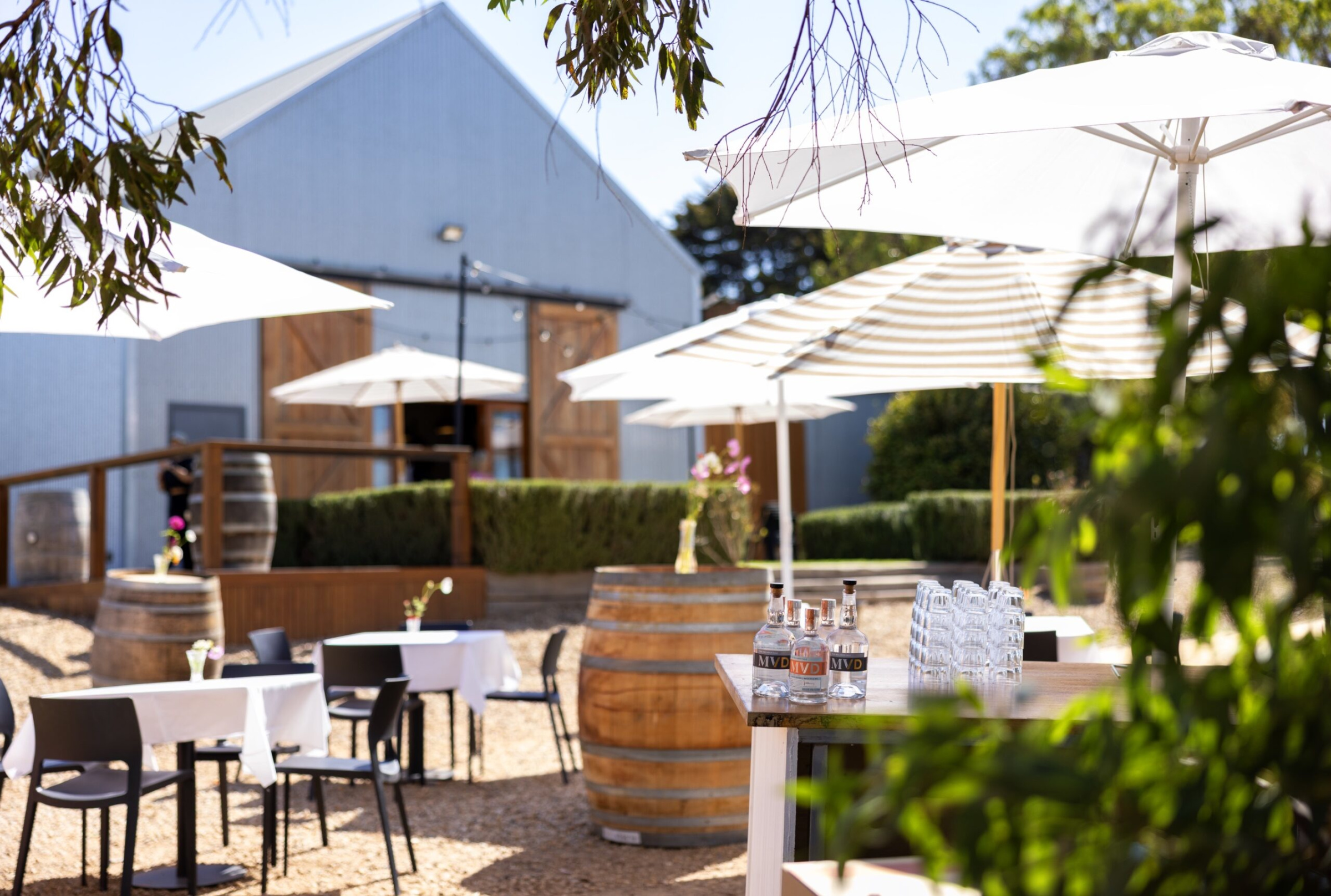 Outdoor winery-style wedding venue with barn, umbrellas, barrel tables and bar setup on a sunny day.