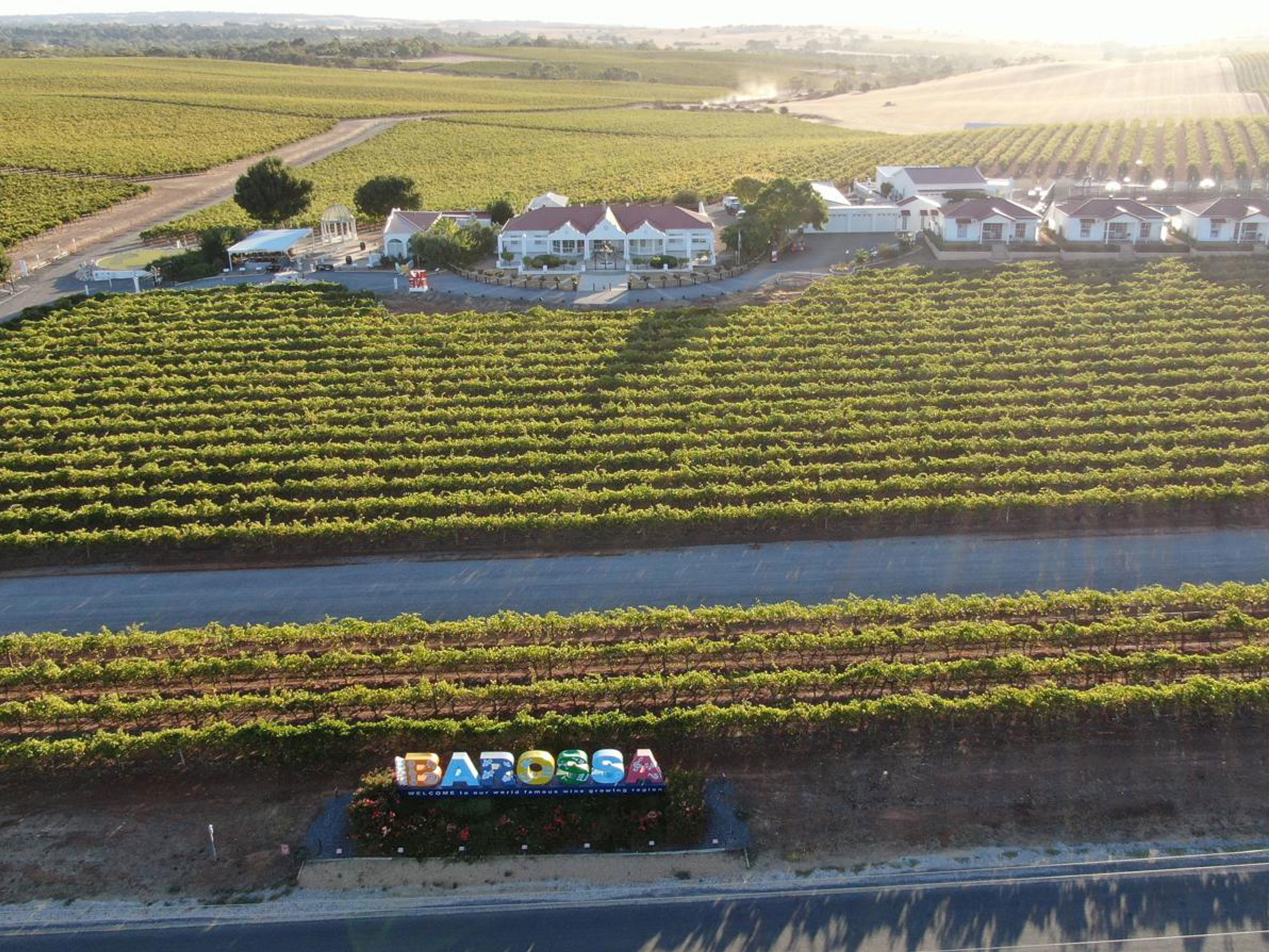 1837 Barossa Vineyard gallery image 1