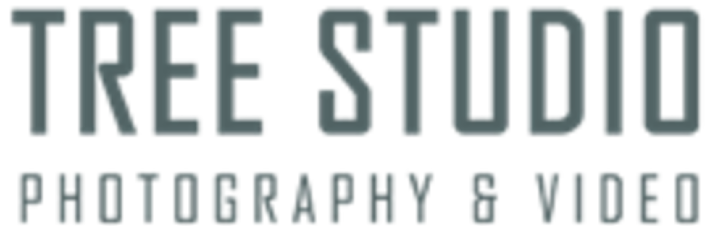 Tree Photo & Video Studio gallery image 1