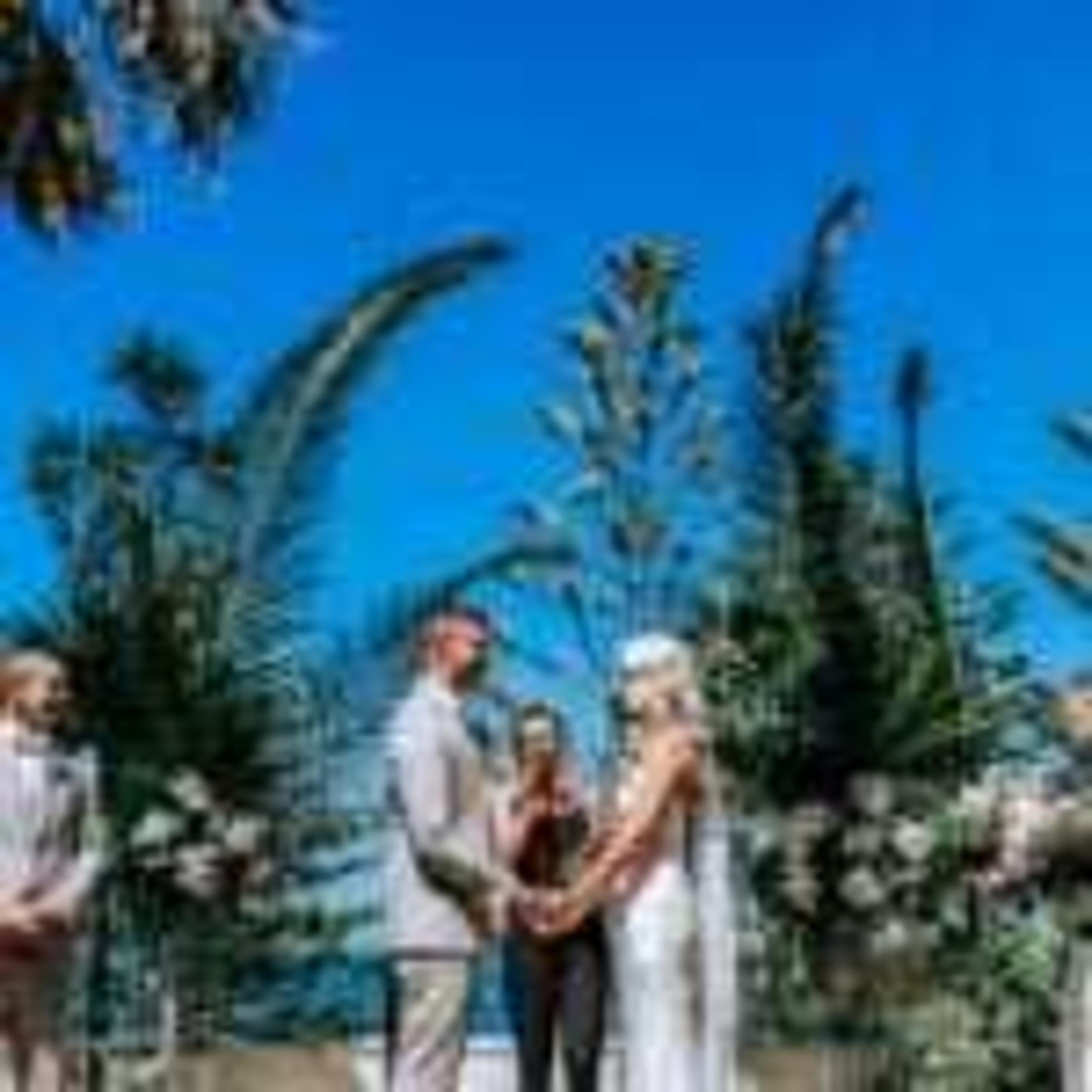 A couple exchanges vows in an outdoor tropical wedding ceremony framed by palm trees and blue sky.