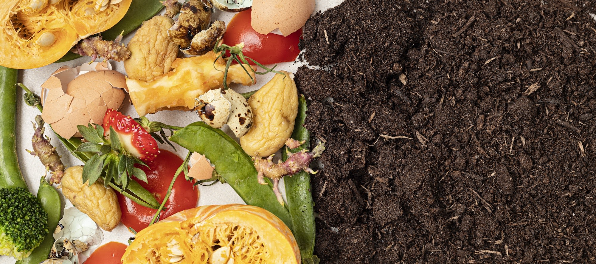 Compostez chez vous : comment faire un compost de qualité pour ...
