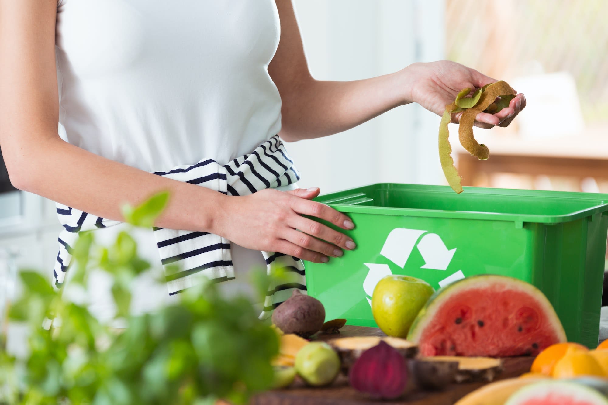 COMPOST 6 astuces pour éviter les moucherons dans votre composteur intérieur ou extérieur"