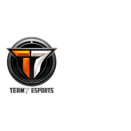 T7XORION ESPORTS  Logo