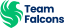 Team Falcons Logo