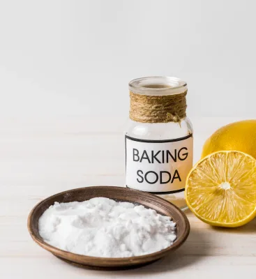 SODIUM BI CARBONATE