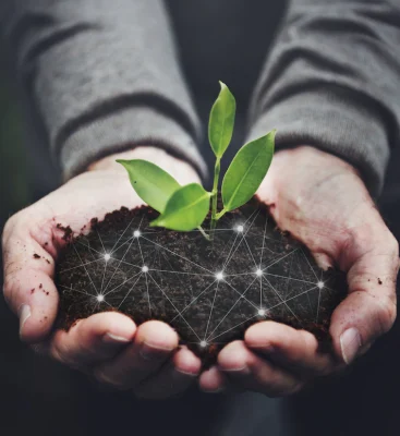 Potassium Humate (HUMIC ACID)