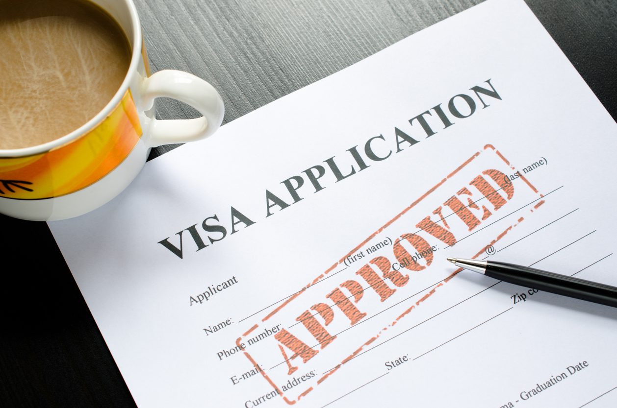 THE VISA APPLICATION PROCESS