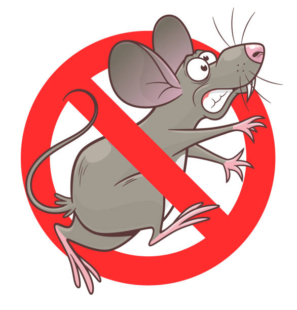 How to Remove a Dead Rodent Smell - Venom Pest