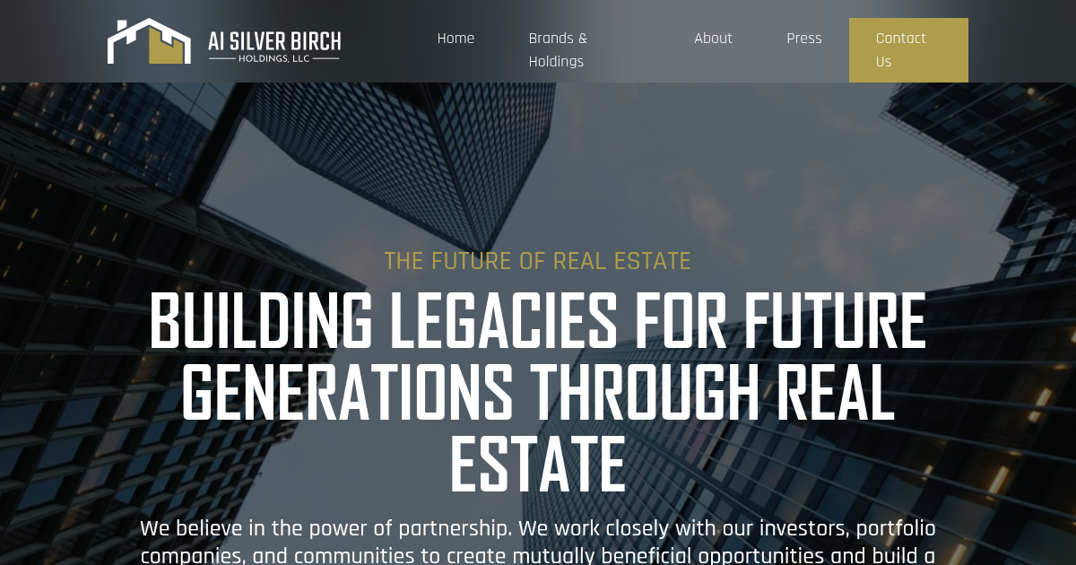 AI Silver Birch Holdings