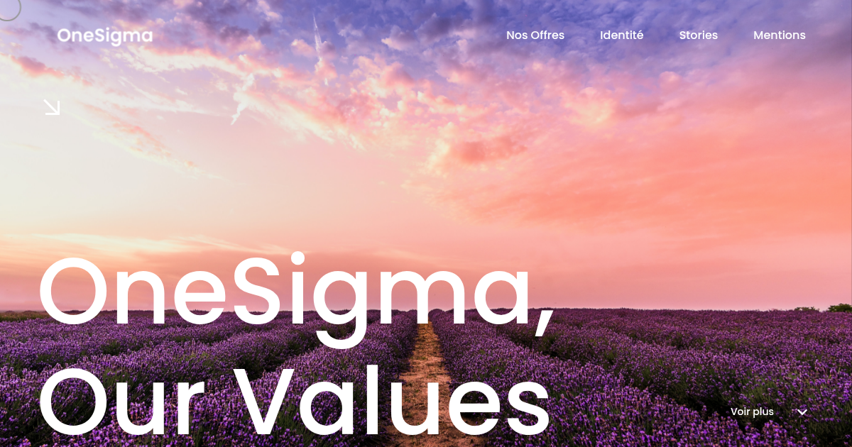 onesigma-group.fr logo