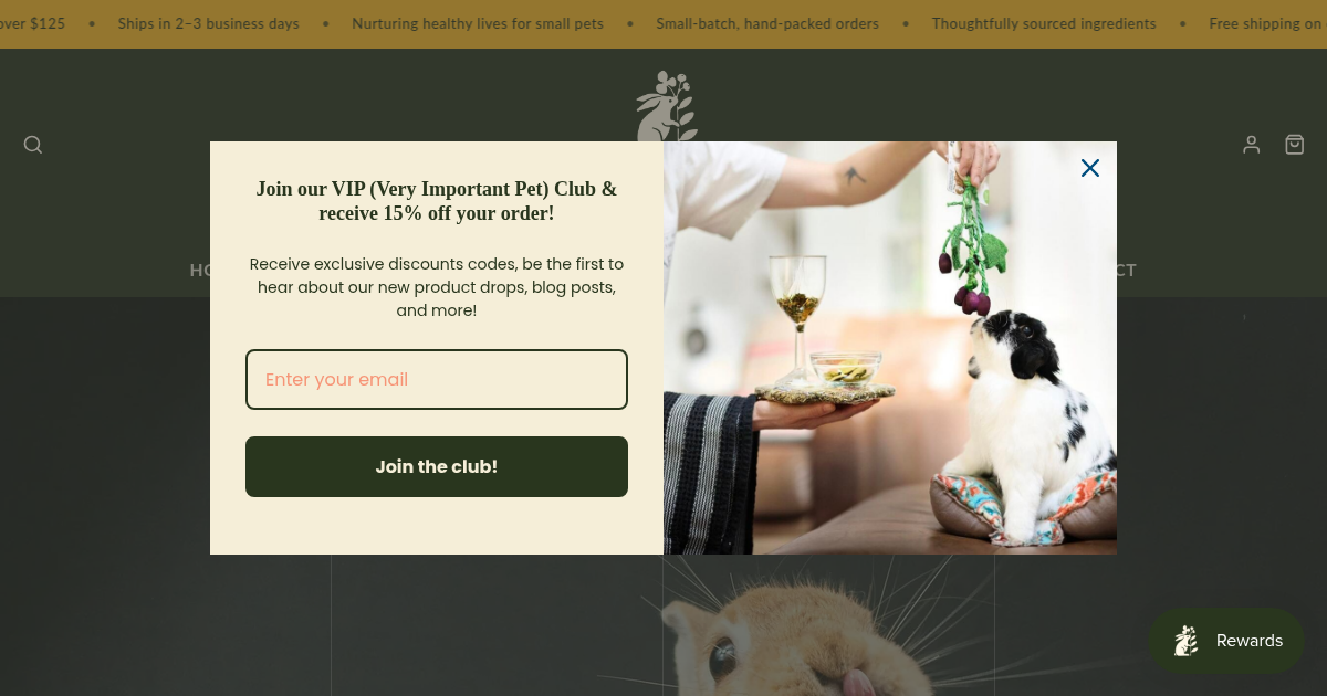 Well Kept Rabbit logo