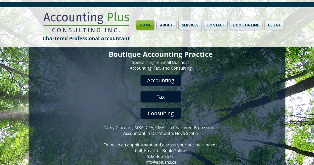Accounting Plus Consulting