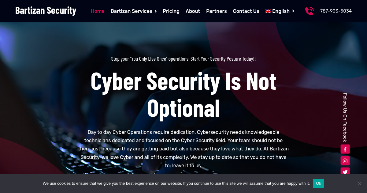 bartizansecurity.net