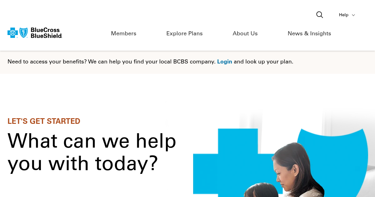 Blue Cross Blue Shield Association