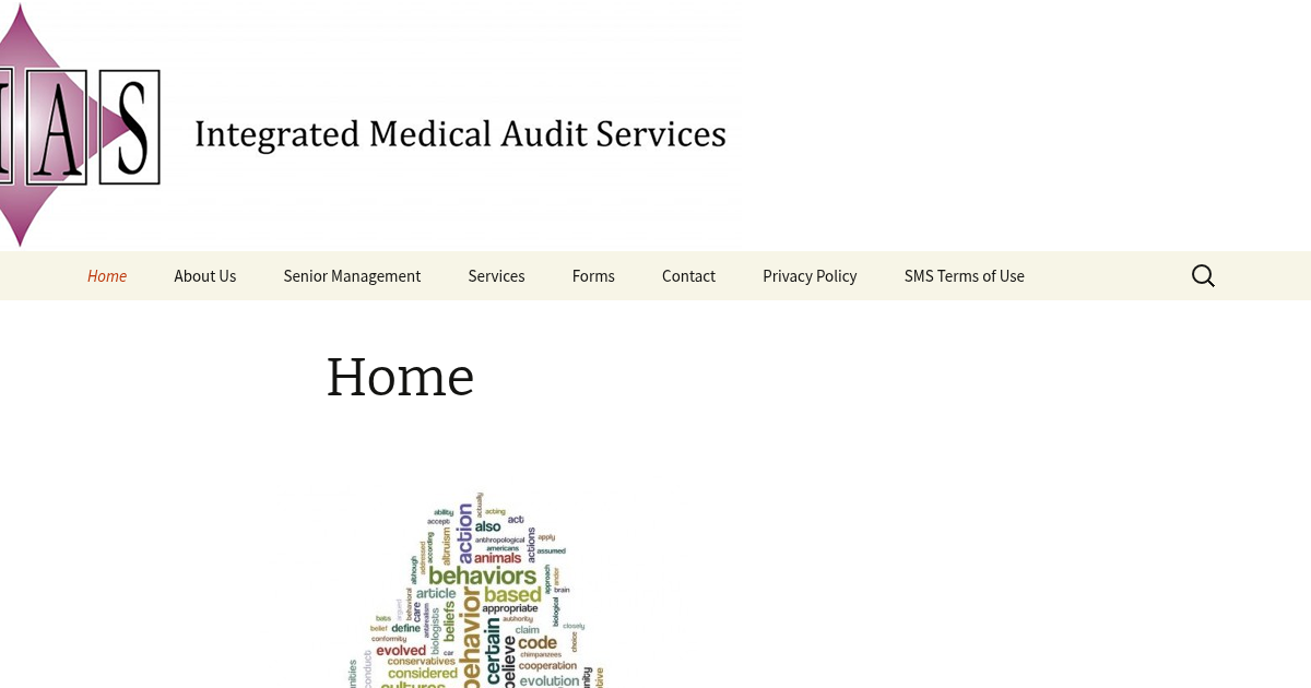 integrated medical audit services