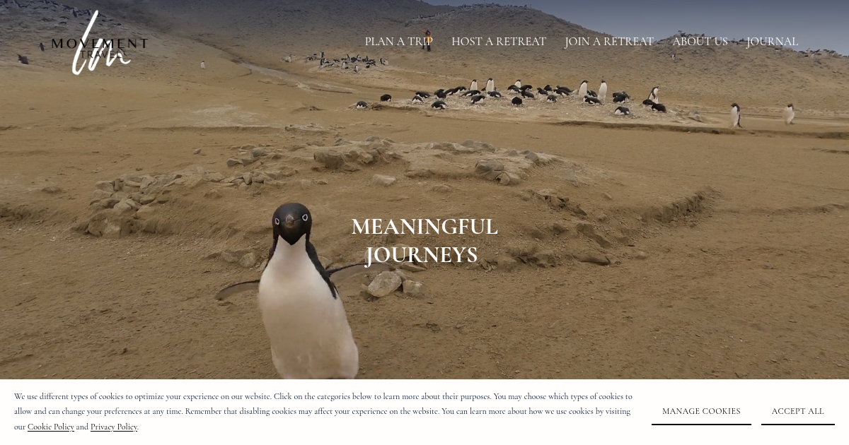 movementtravel.com