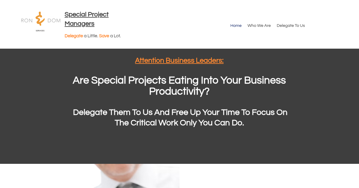 ronanddomservices.com