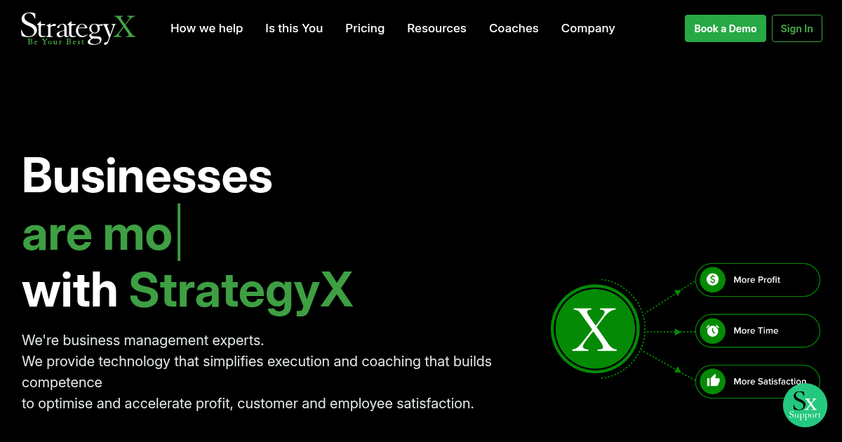 strategyexe.com