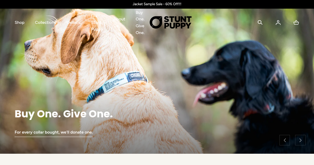 Stunt Puppy