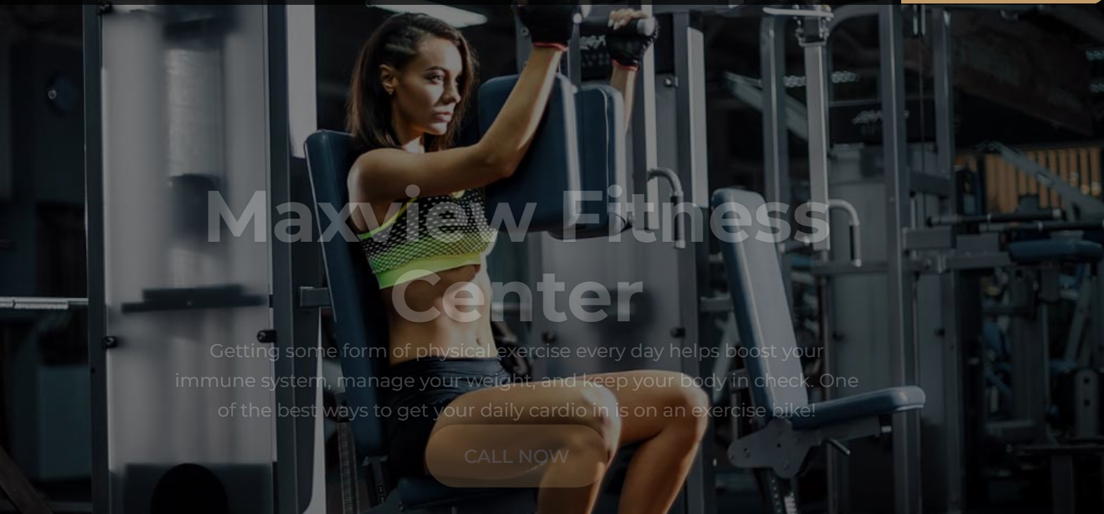 Max View Fitness