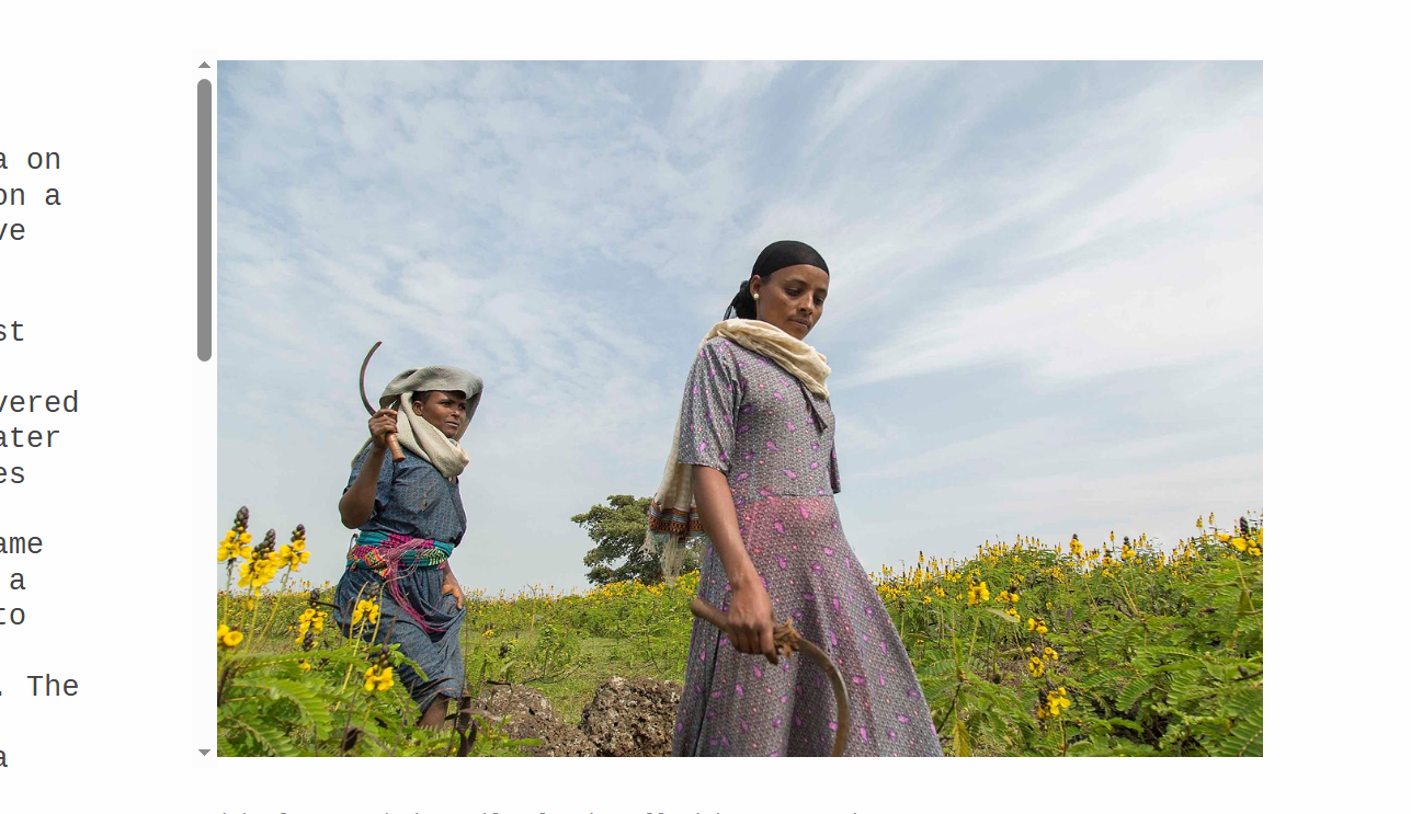 Mahider Photography