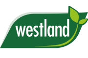 Westland