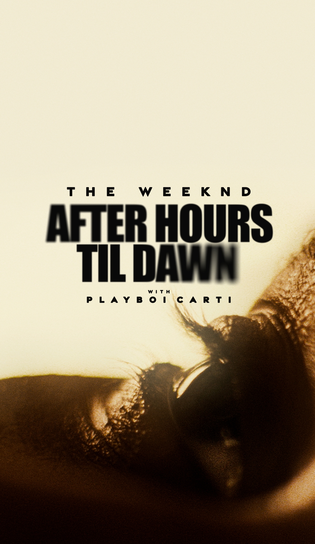 The Weeknd Concert Promo