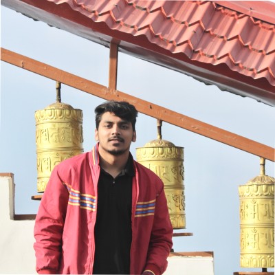 Profile of Bhupendra Tale