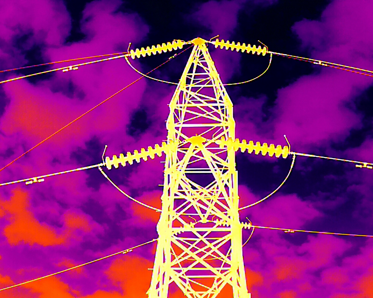 DJI Thermal Infrared Survey