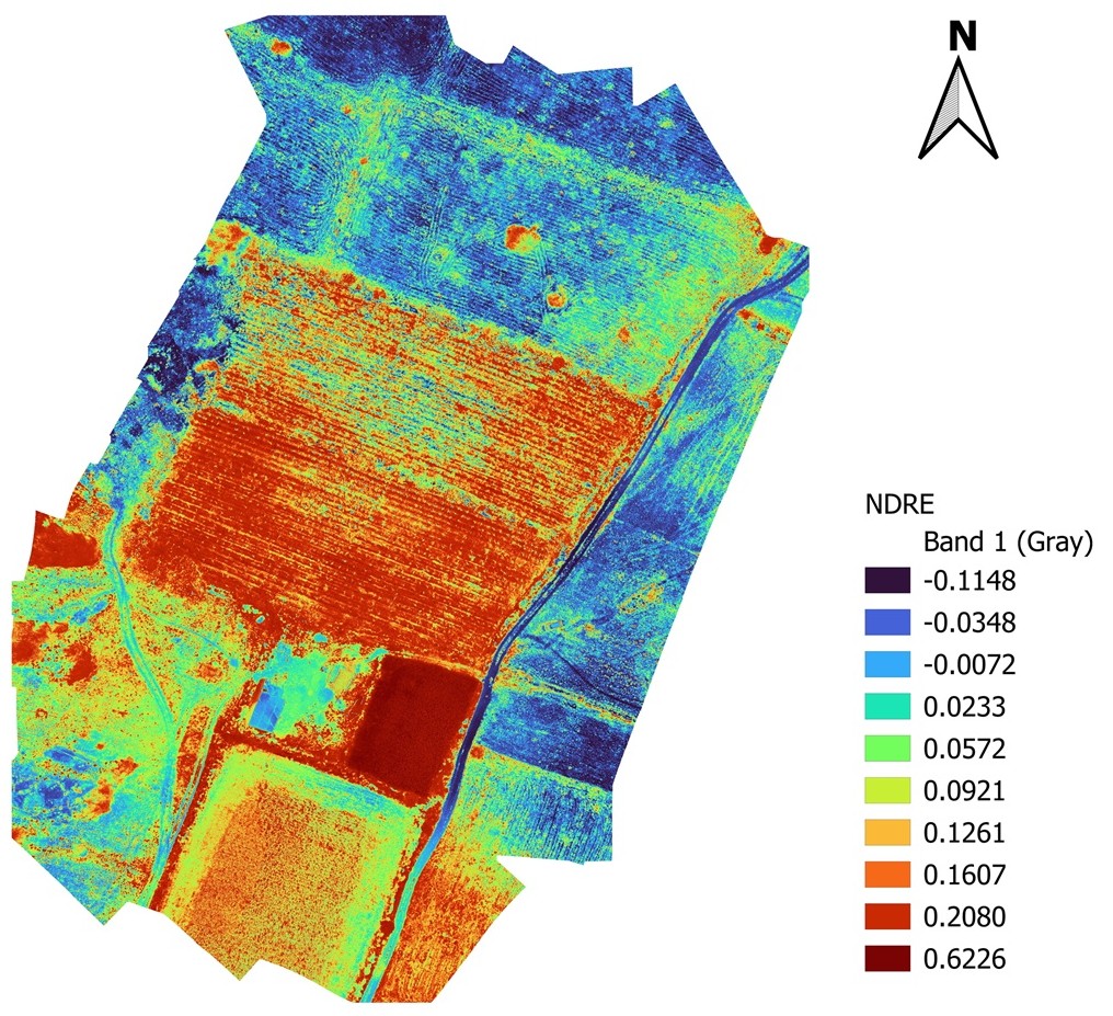 NDRE Chlorophyll Map